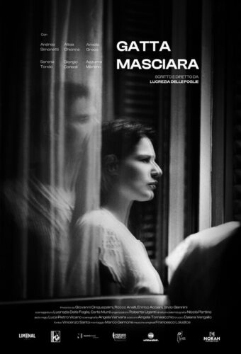 Gatta Masciara